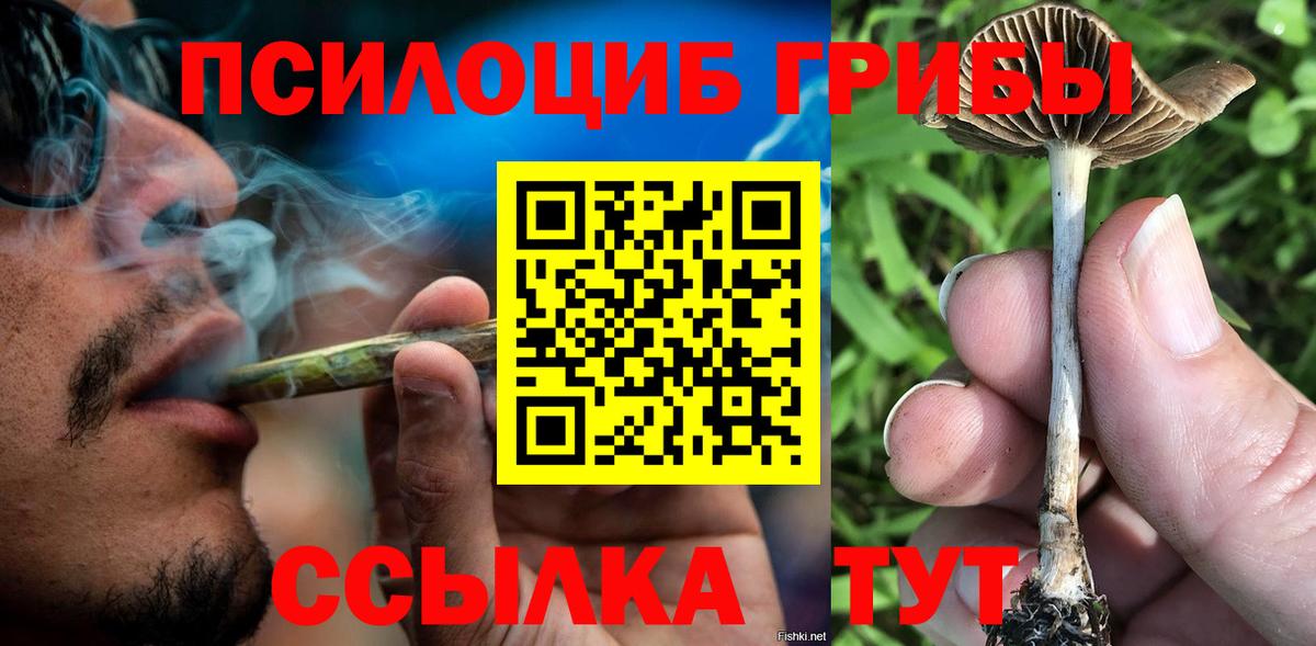 Новочеркасск  Псилоцибиновые грибы мухоморы  Вход с VPN  Псилоцибиновые грибы прущие грибы 