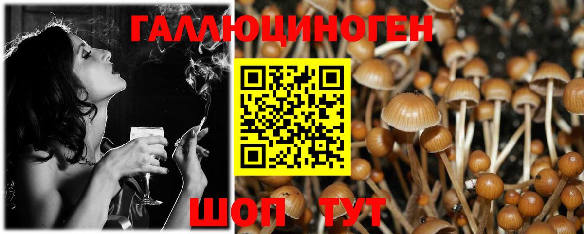 Псилоцибиновые грибы Psilocybine cubensis Новочеркасск